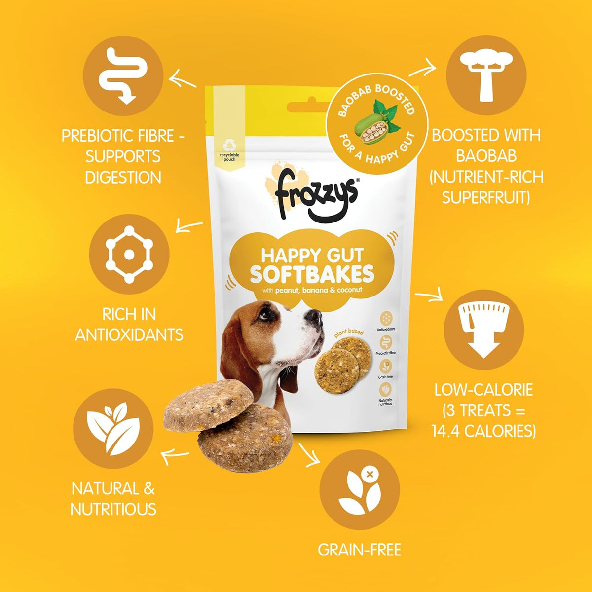 Frowzy Example Frozzys – Supporting a Longer and Healthier Life