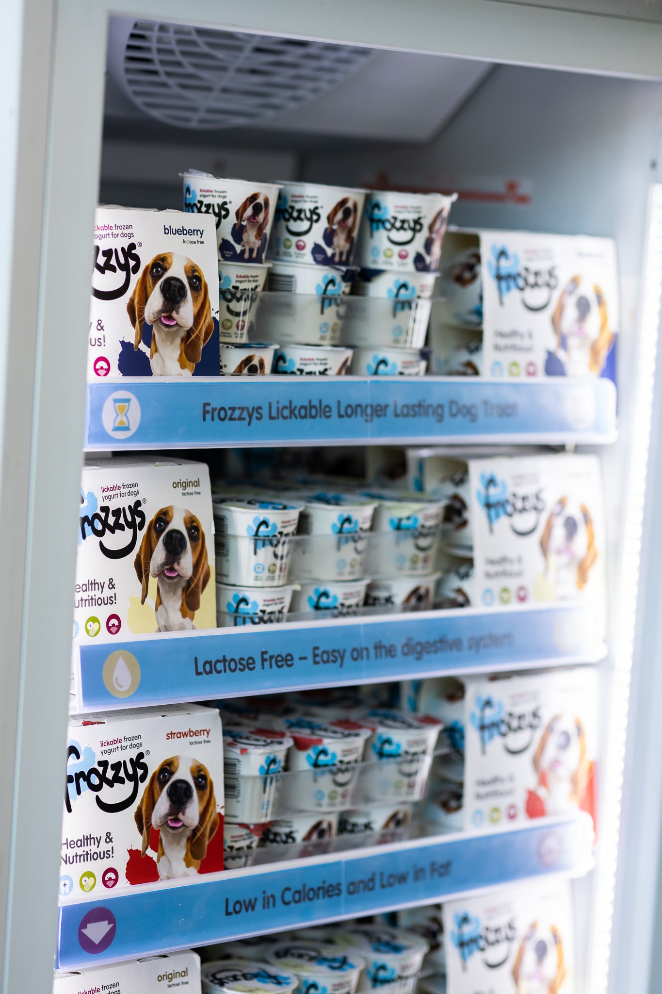 Frozzys frozen yogurt store pets at home