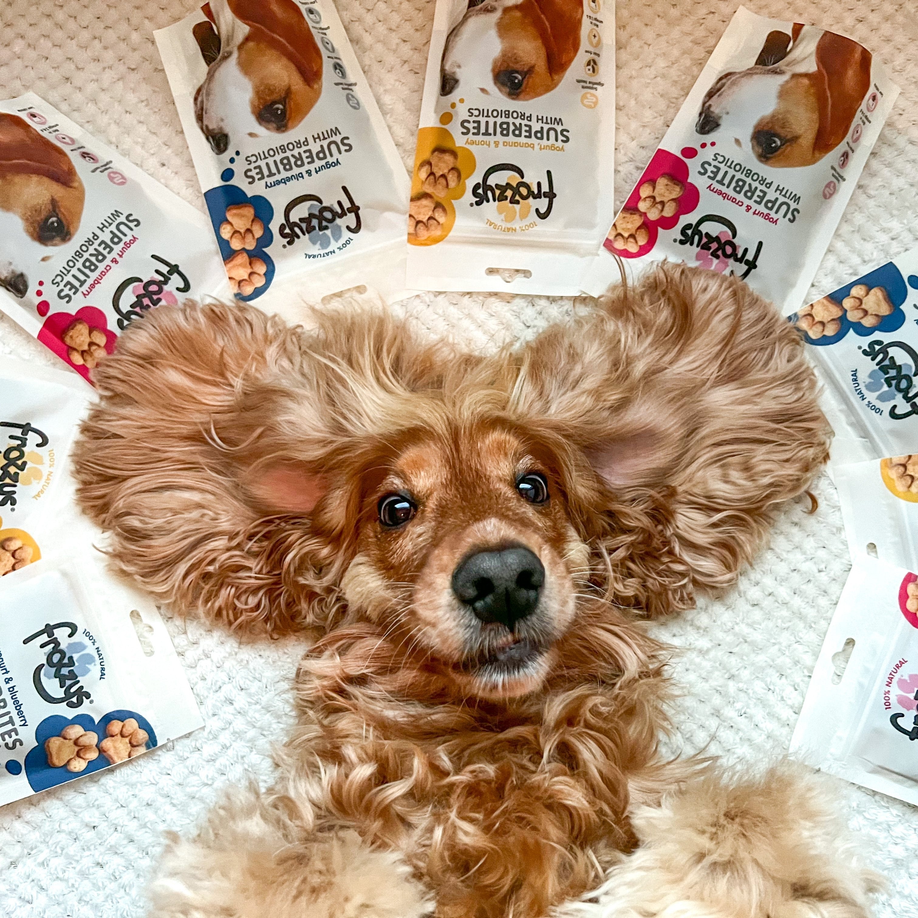 Frozzys Happy Gut Yogurt Squeeze - Dog