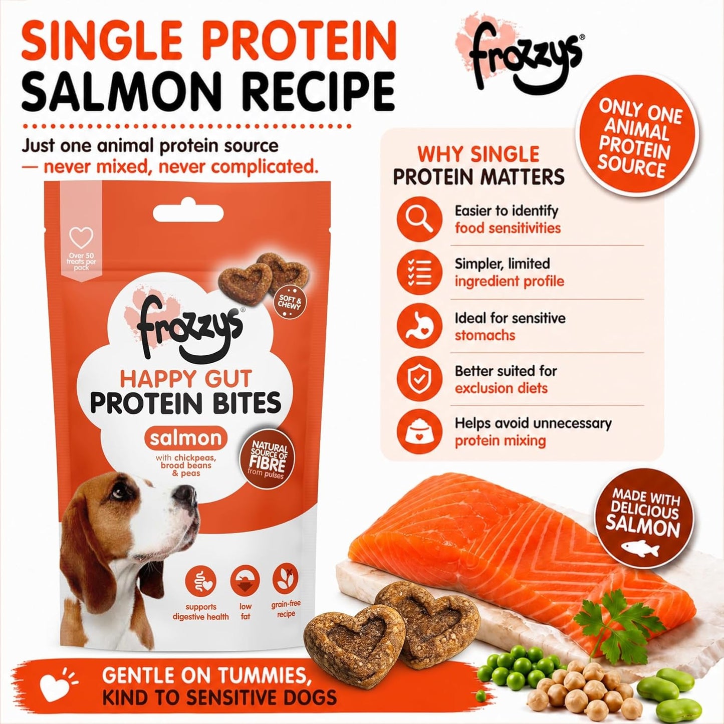 Happy Gut Protein Bites - Salmon
