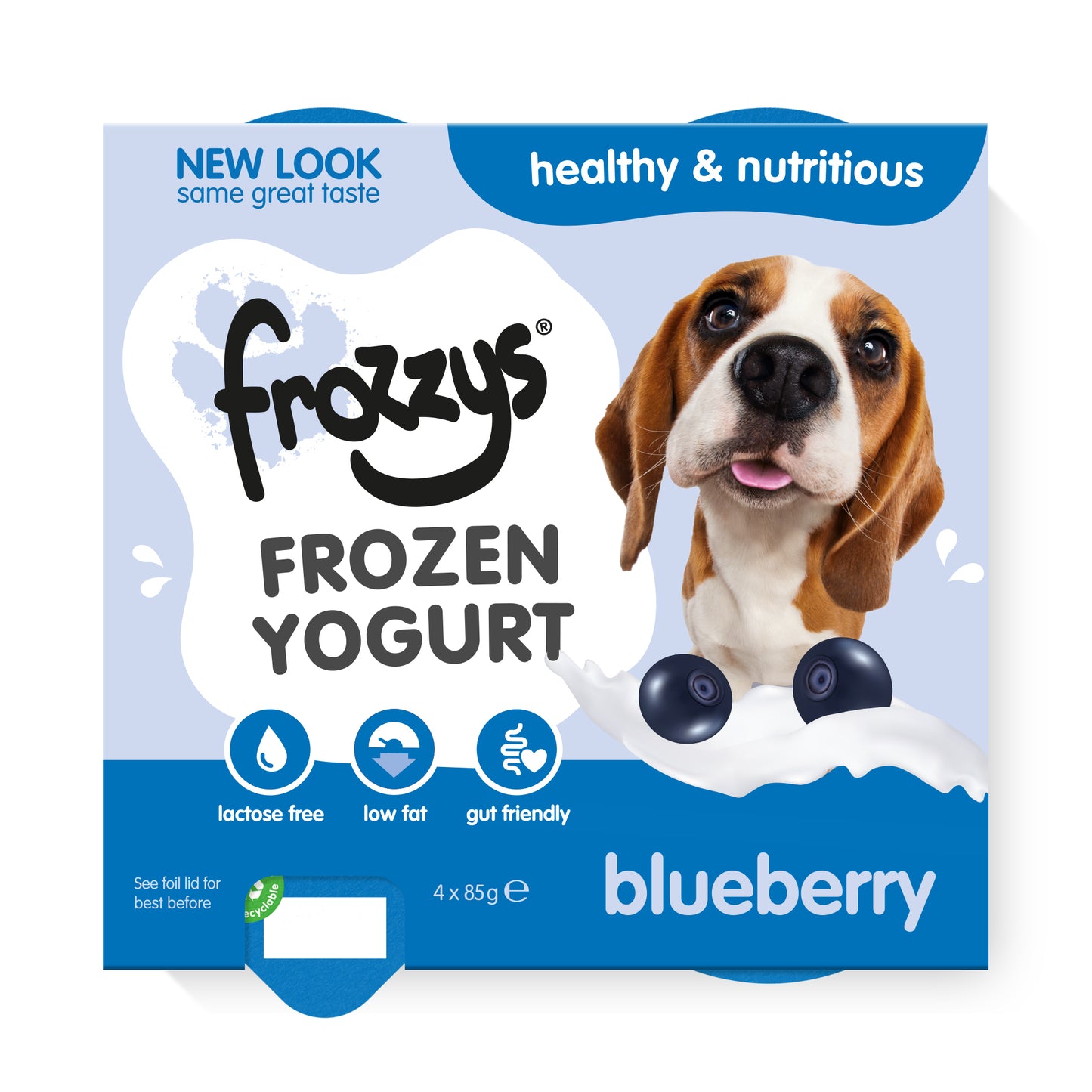Frozzys Frozen Yogurt - Blueberry