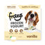 Frozzys Frozen Yogurt - Original