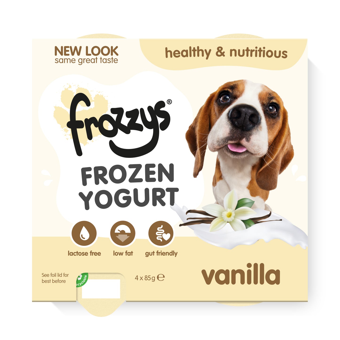 Frozzys Frozen Yogurt - Original