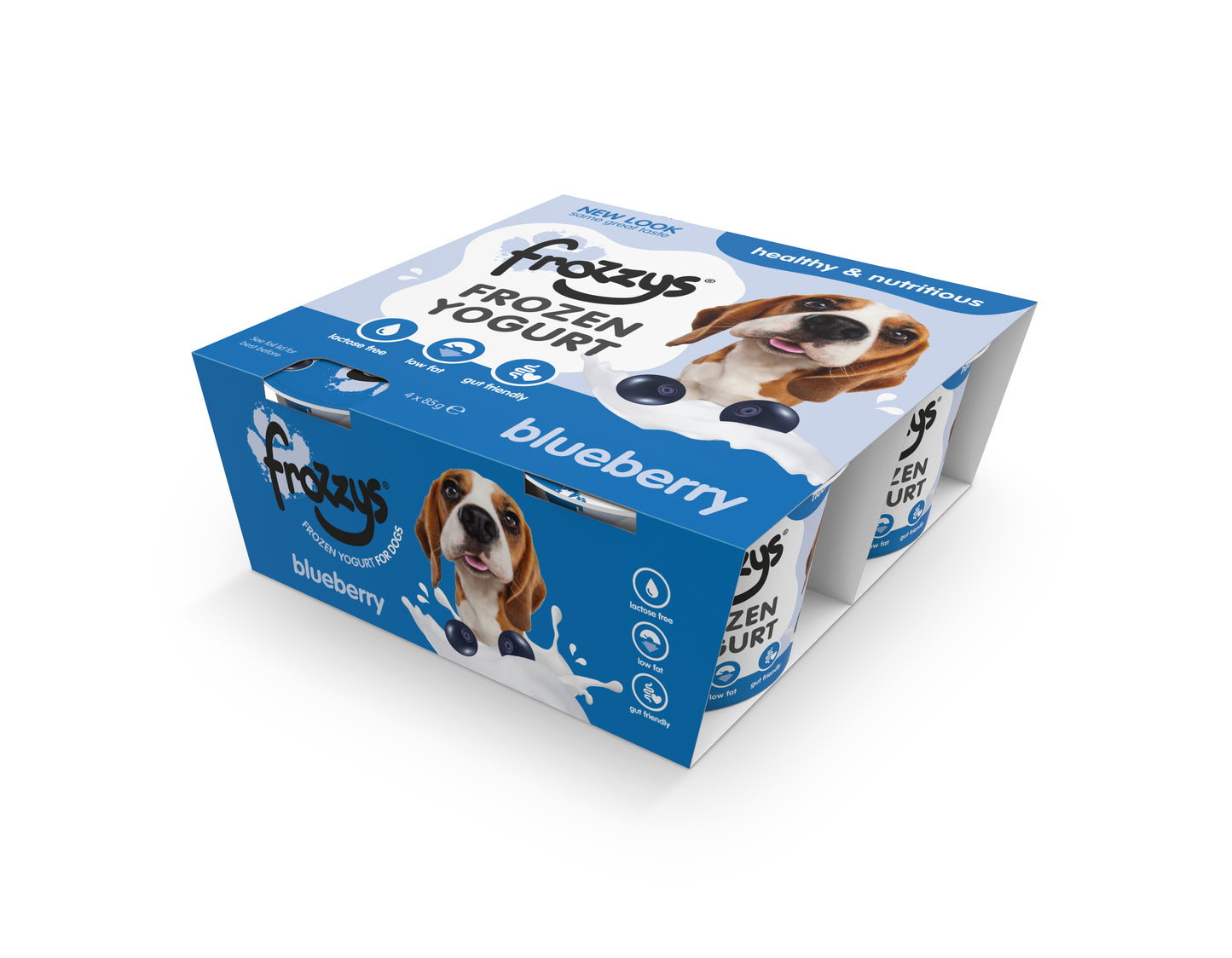 Frozzys Frozen Yogurt - Blueberry