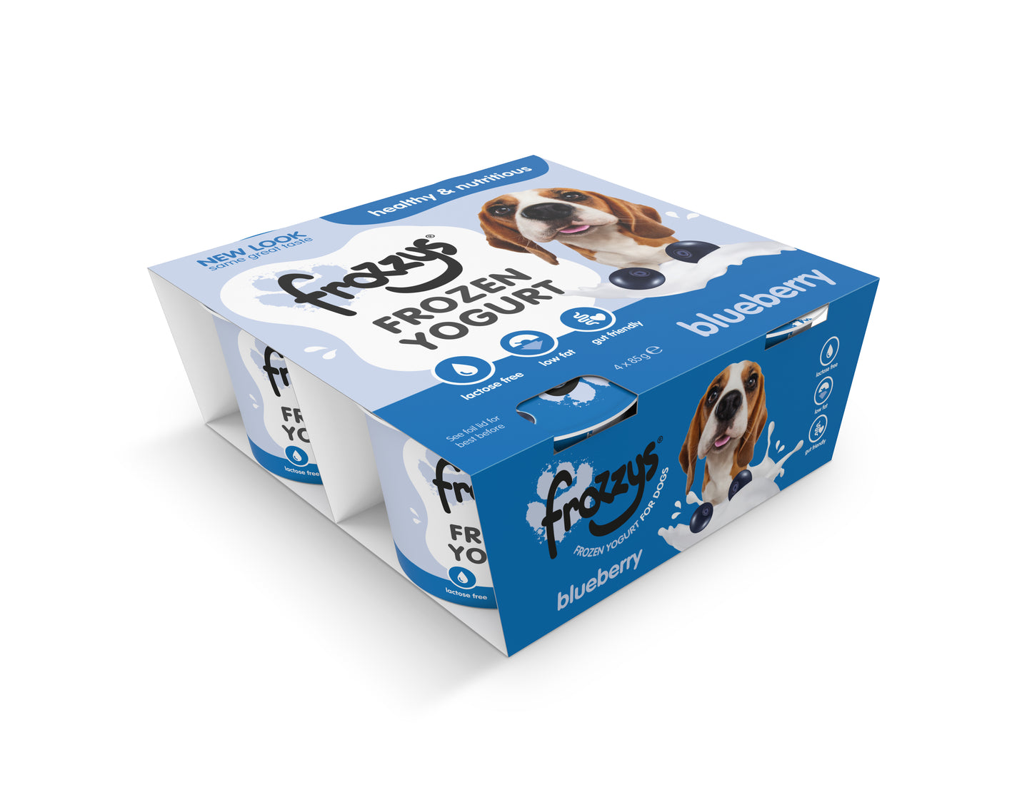 Frozzys Frozen Yogurt - Blueberry