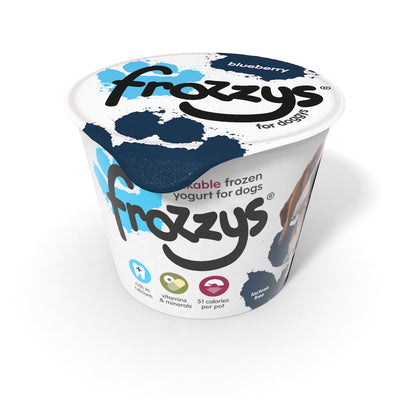 Frozzys Frozen Yohurt - Blueberry
